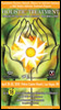 Download the Holistic Treatment 2010 Brochure